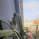 ���� �������, ������������ - ��������� 7 ������� 2023 � ������ ���� ����������