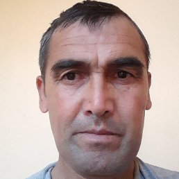 Mahmud, ������, 49 ���