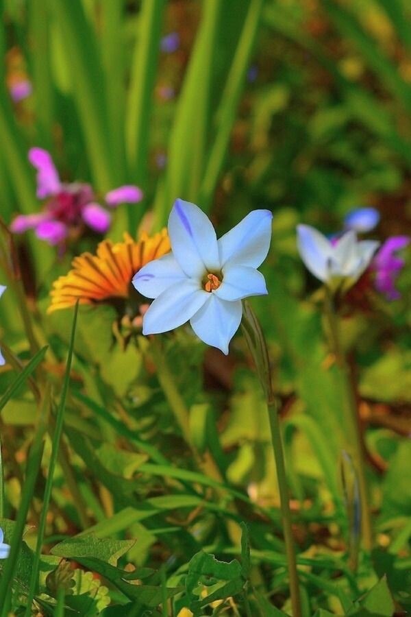 ������ � ��� ������� ������. � ������. ������� ������� ���� ���������� � ������ ���� �� ����... ... - 4