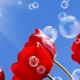 ������, �����, 46 ���