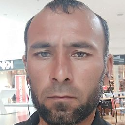 ������, �����-���������, 41 ���