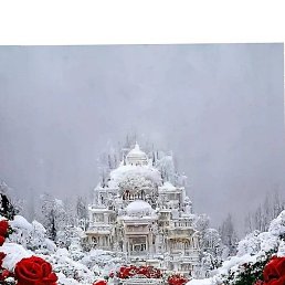 ������, �����������, 40 ���