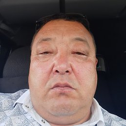 �����, �������, 46 ���