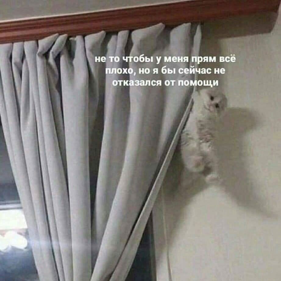    - 2  2023  18:31