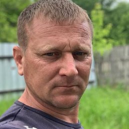 ���������, �����������, 43 ����