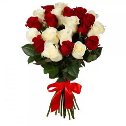 ���� ������, ���������, 37 ��� - ��������� 20 �������� 2023