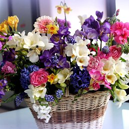 �����, �������, 61 ���