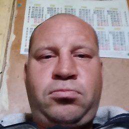 �����, ������, 37 ���