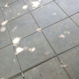 ���� Ali, ����, 62 ���� - ��������� 23 ���� 2023