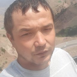 Xxx, �������, 37 ���