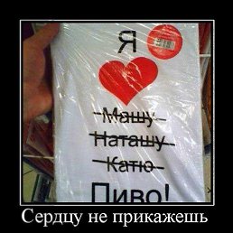 ���� �������, ���������, 43 ���� - ��������� 20 ���� 2023
