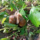 ���� ����, �����, 30 ��� - ��������� 16 ���� 2023 � ������ ���� ����������