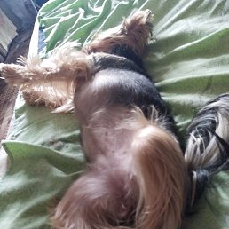 ����, ������-��-����, 47 ���