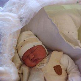 Abu Bakir, ������, 20 ���