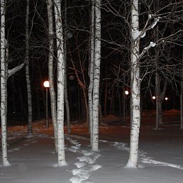 �����, �������������, 67 ���