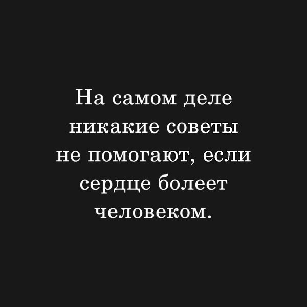 � ���� ����� - 3 �������� 2023 � 11:18