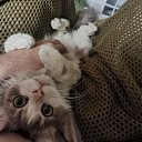 ���� �����, �������, 41 ��� - ��������� 29 ������ 2023 � ������ ���� ����������