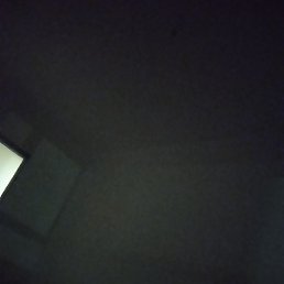 ����, ������, 46 ���