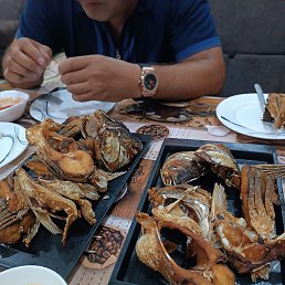 ���� ����, �����, 55 ��� - ��������� 24 �������� 2023