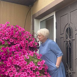 ���� ���������, �����, 61 ��� - ��������� 26 ������� 2023