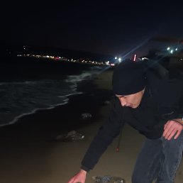 �����������, ������, 31 ���