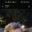 ���� �������, ������, 60 ��� - ��������� 4 ������� 2023 � ������ ���� ����������