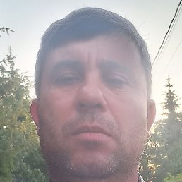 ������, ������, 48 ���