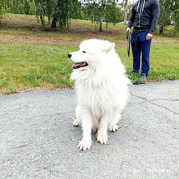 ���� ����, ���������, 38 ��� - ��������� 19 ���� 2023