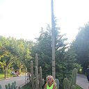 ���� ��������, �����-���������, 44 ���� - ��������� 22 �������� 2023 � ������ ������� ߻