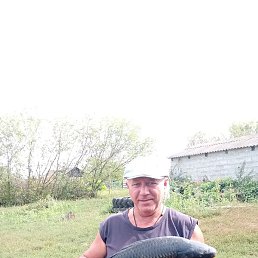 �����, �������, 62 ����