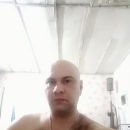 , 37 , 