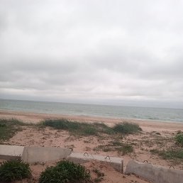 ������, ���������, 41 ���