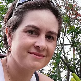 �������, ���, 41 ���