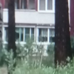 ������, ������, 53 ����