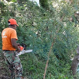 Ernesto, ������, 44 ����