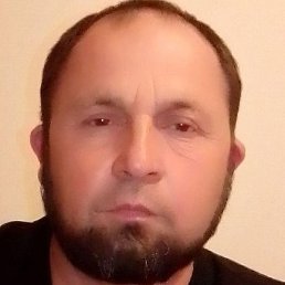 ��������� ������, �����-���������, 49 ���