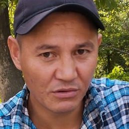 �����, ������, 43 ����