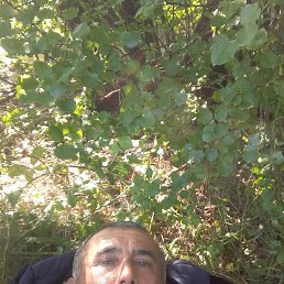 ���� ����, ������, 50 ��� - ��������� 23 ���� 2023