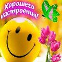 ���� Ya, ����, 55 ��� - ��������� 13 ������� 2023