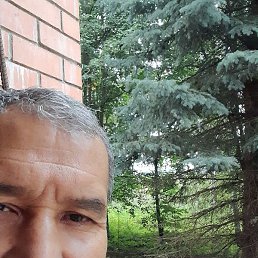 ����, ������, 54 ����