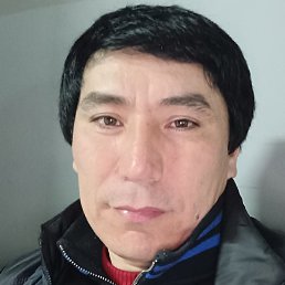 �����, �������, 43 ����