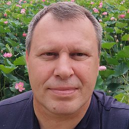 �������, ���������, 56 ���