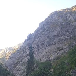 ������, �����������, 41 ���