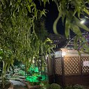 ���� Yusup, ������, 61 ��� - ��������� 31 ����� 2023 � ������ ���� ����������