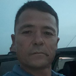 ������, ������, 46 ���