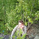  , -, 54  -  14  2023    