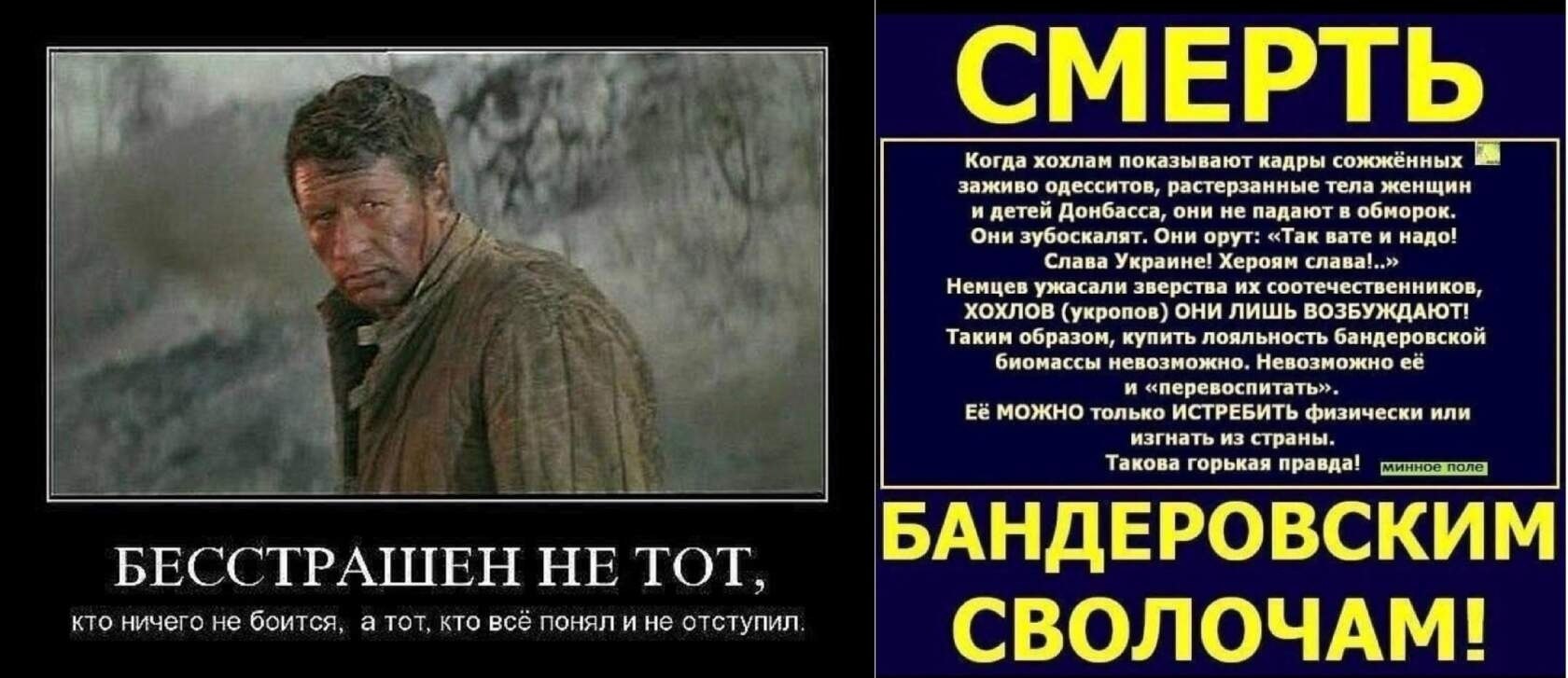     !    !    - 7