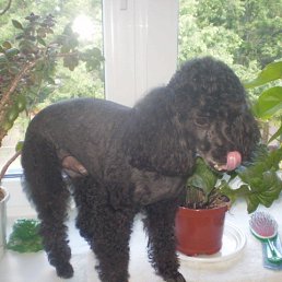 ���� �������, ������� - ��������� 4 ��� 2023