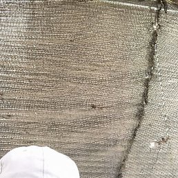 �����, �����, 47 ���