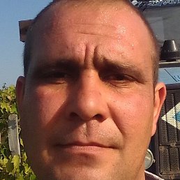 �������, ���������, 40 ���